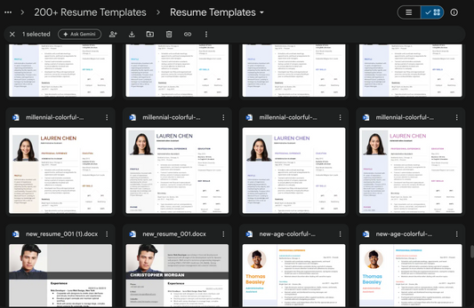 200+ Professional Resume Templates Bundle